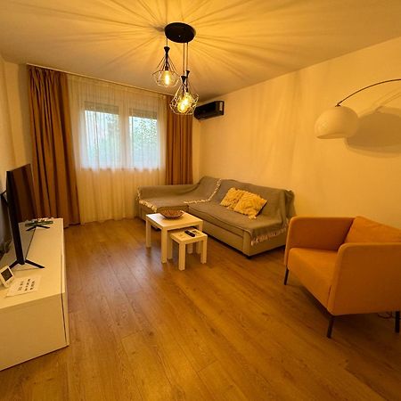 Alexander Cozy Apartment Free Private Parking Mediaş Esterno foto